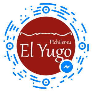 messenger_code_309578219070647